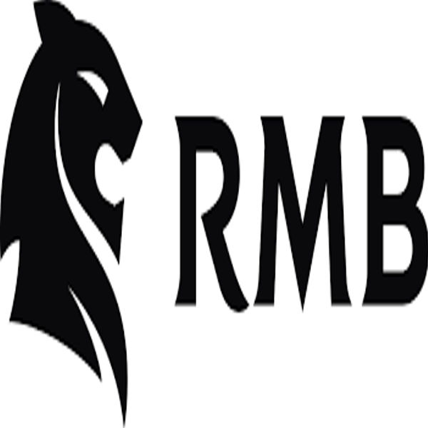 RMB Nigeria Asset Management logo