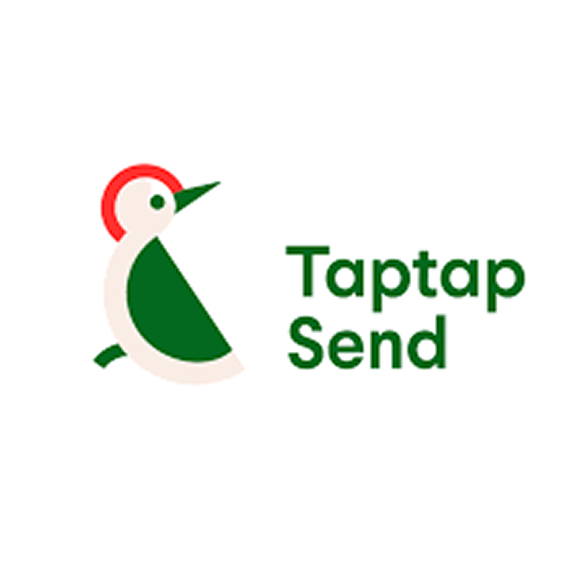 TapTapSend logo